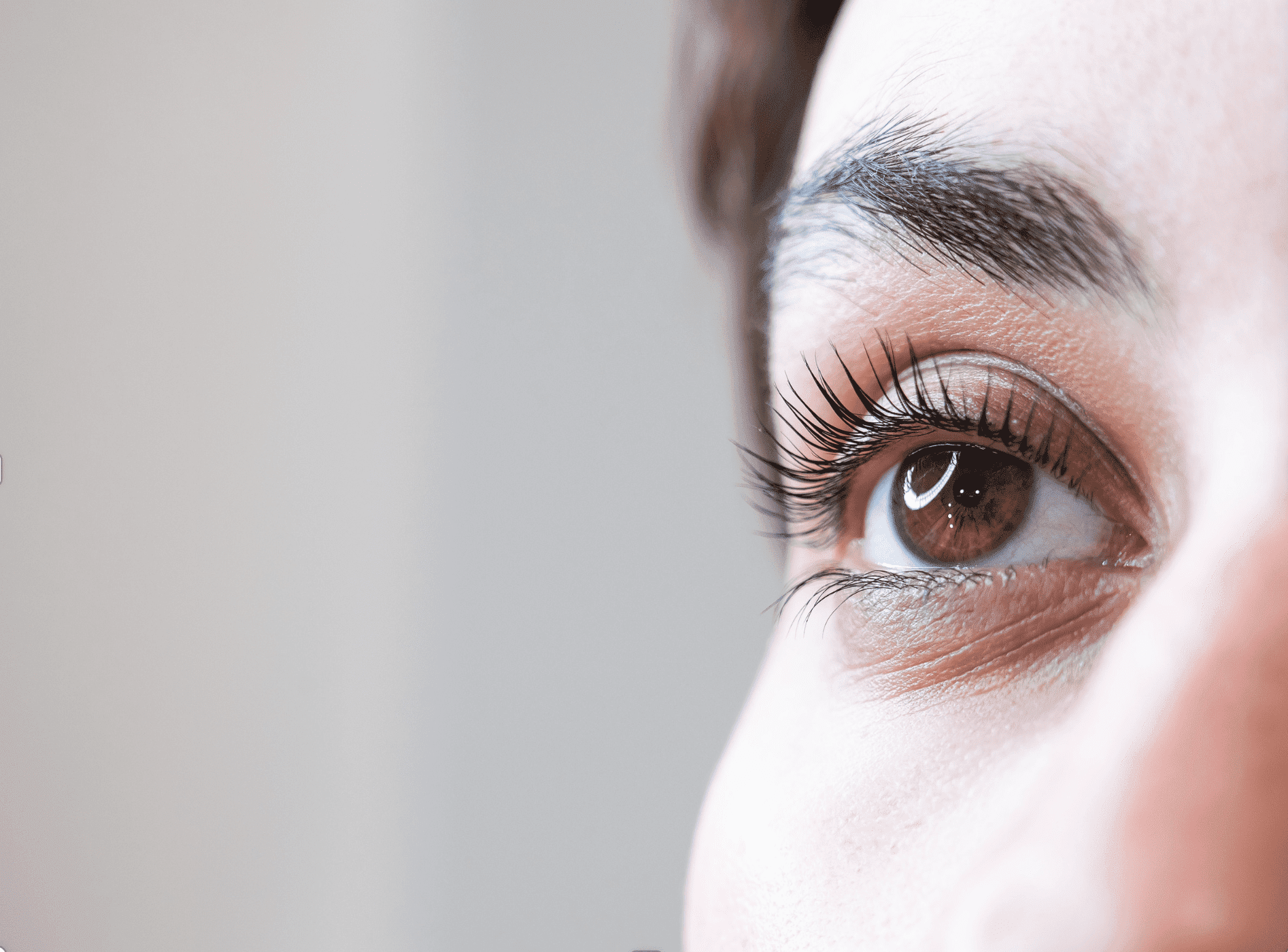 Lifting the Veil on Lash Lifts: Everything You Need to Know